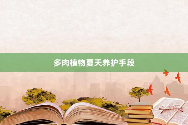 多肉植物夏天养护手段